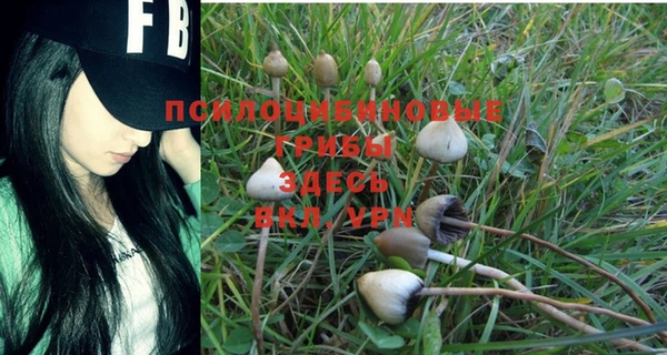МДПВ Алексеевка
