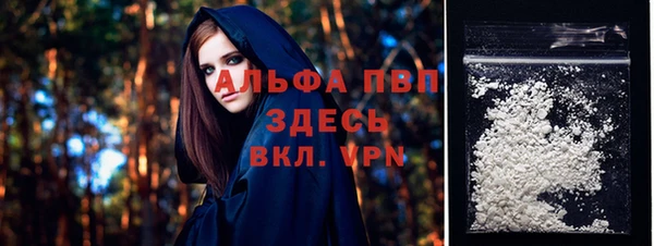 амф Алексин