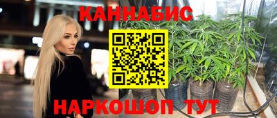 МДПВ Можга