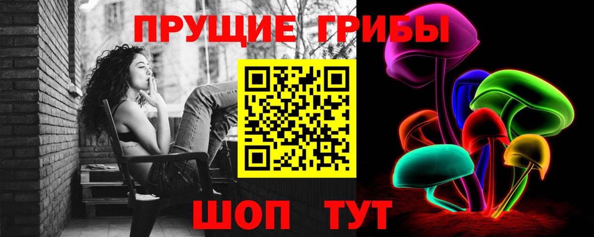 Псилоцибиновые грибы мицелий  Вход с VPN  Петрозаводск 