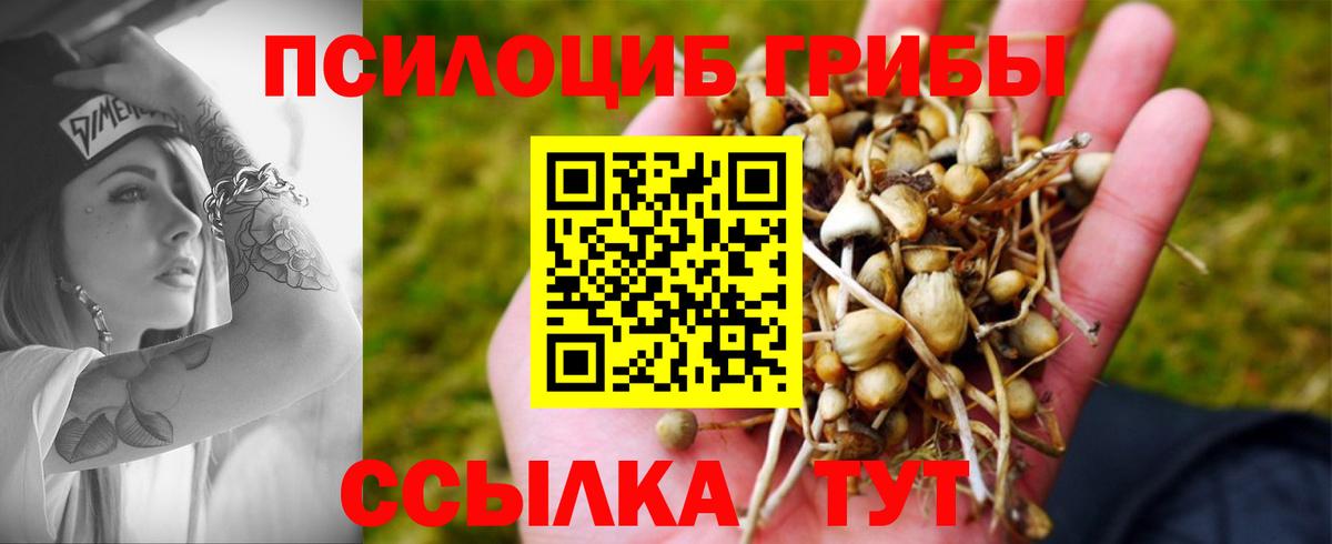 Псилоцибиновые грибы Psilocybine cubensis  Вход с VPN  Псилоцибиновые грибы Psilocybe  Петрозаводск 